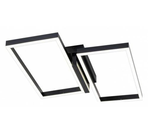 Накладной светильник Escada Scales 10209/2LED Black