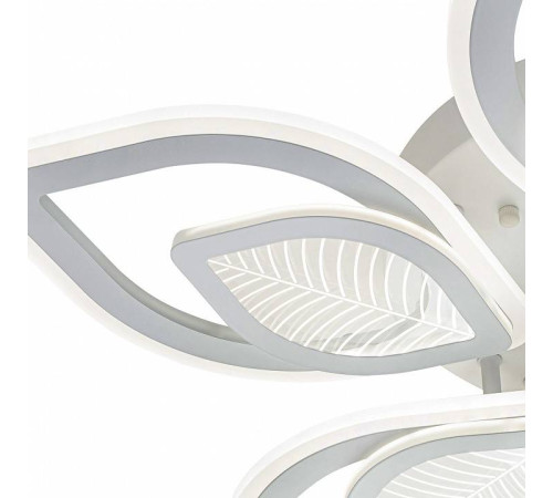 Потолочная люстра Escada Anise 10288/10LED