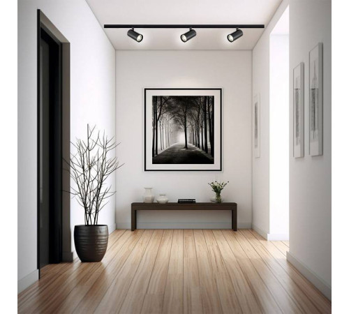 Светильник на штанге Escada 20002 20002TRA/01LED SBK