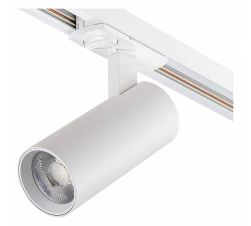 Светильник на штанге Escada 20002 20002TRA/02LED SWH