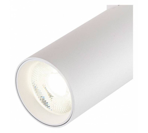 Светильник на штанге Escada 20002 20002TRA/02LED SWH