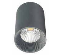 Накладной светильник Escada 20003 20003SMU/01LED SGY