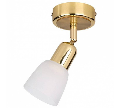 Спот Escada Fabius 5039/1PA