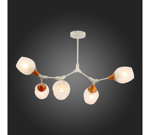 Люстра на штанге EVOLUCE Ciotolla SLE113502-05
