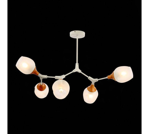 Люстра на штанге EVOLUCE Ciotolla SLE113502-05