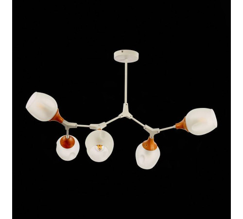 Люстра на штанге EVOLUCE Ciotolla SLE113502-05