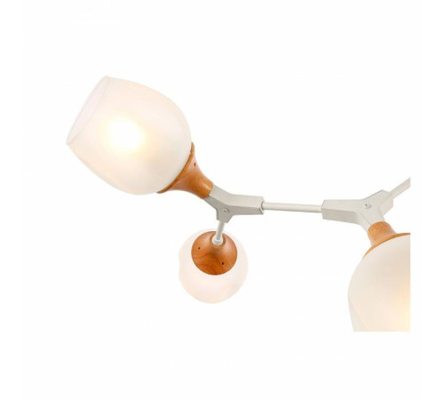 Люстра на штанге EVOLUCE Ciotolla SLE113502-05