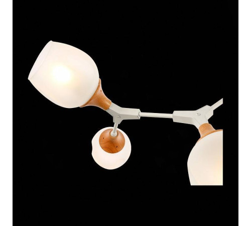 Люстра на штанге EVOLUCE Ciotolla SLE113502-05