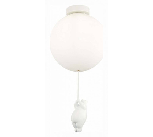 Накладной светильник EVOLUCE Modena SLE115412-01