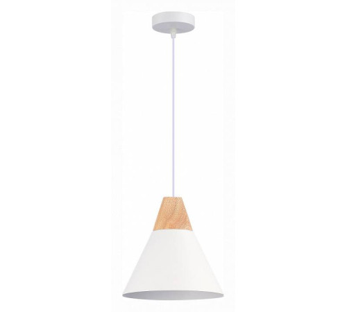 Подвесной светильник EVOLUCE Modica SLE125103-01