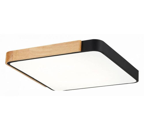 Накладной светильник EVOLUCE Festa SLE201242-01