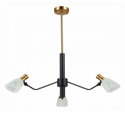 Люстра на штанге EVOLUCE Lita SLE205403-03