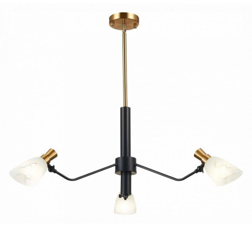 Люстра на штанге EVOLUCE Lita SLE205403-03