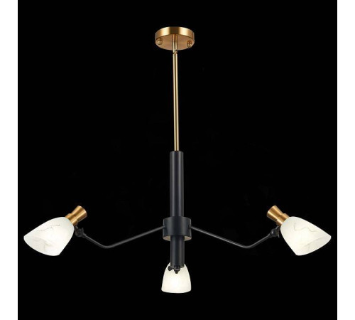 Люстра на штанге EVOLUCE Lita SLE205403-03