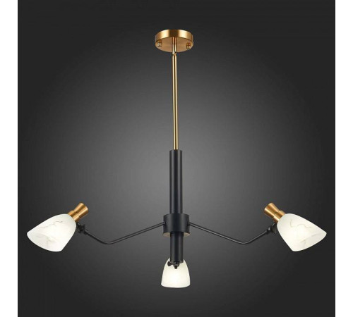 Люстра на штанге EVOLUCE Lita SLE205403-03