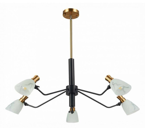 Люстра на штанге EVOLUCE Lita SLE205403-05