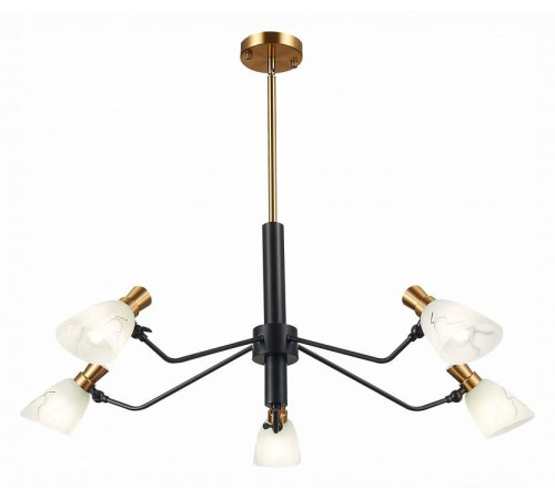 Люстра на штанге EVOLUCE Lita SLE205403-05