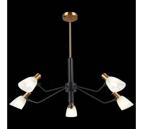 Люстра на штанге EVOLUCE Lita SLE205403-05