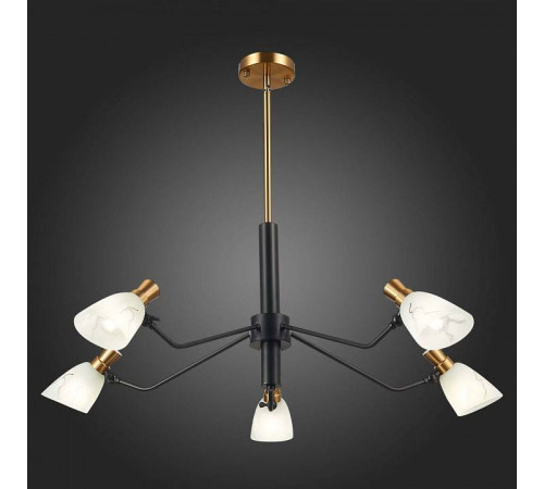 Люстра на штанге EVOLUCE Lita SLE205403-05