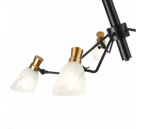 Люстра на штанге EVOLUCE Lita SLE205403-05