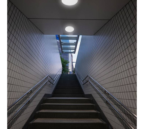 Накладной светильник Feron ДБО 07-5-001 48516