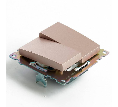 Выключатель двухклавишный без рамки Stekker Катрин 49169