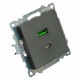 Розетка 2хUSB type A и C без рамки Stekker Катрин 50052