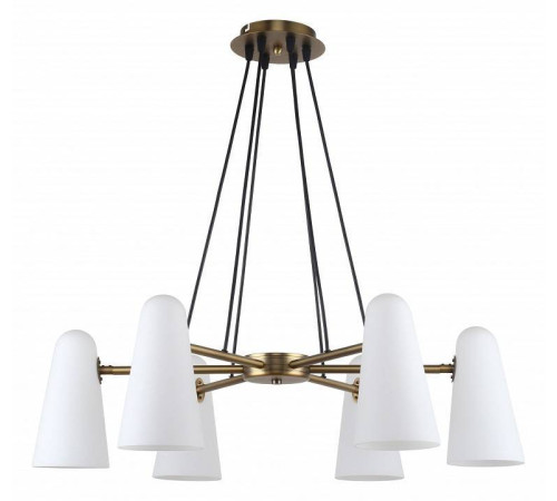 Подвесная люстра Favourite Vision 2763-6P