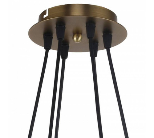 Подвесная люстра Favourite Vision 2763-6P