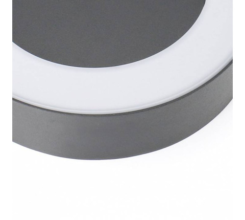 Накладной светильник Favourite Washer 2865-1W