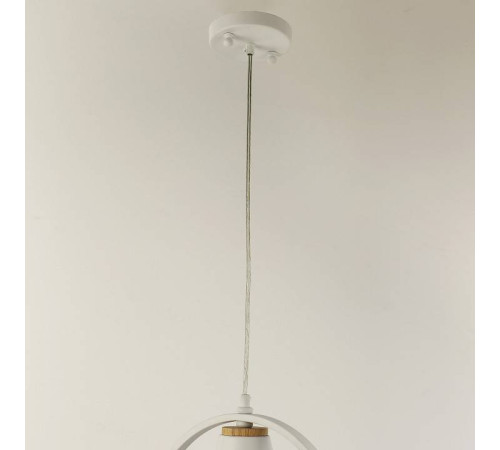 Подвесной светильник F-promo Uccello 2939-1P