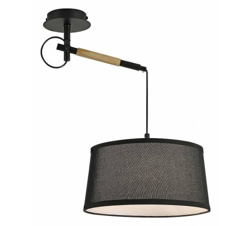 Светильник на штанге F-promo Eureka 3006-1P