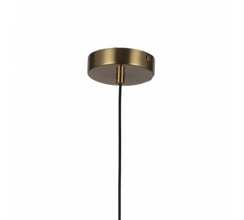 Подвесной светильник F-promo Roshni 3050-1P