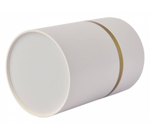 Накладной светильник Favourite Dunia 3067-1C