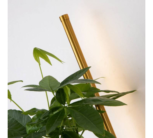 Бра Favourite Greenery 4050-2W