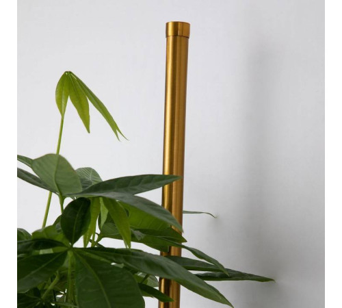 Бра Favourite Greenery 4050-2W