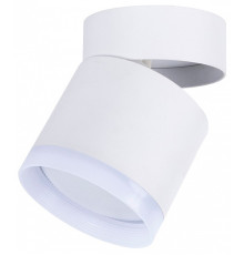 Накладной светильник Favourite Dixi 4709-1C