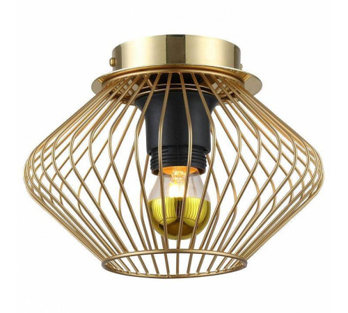 Накладной светильник Lussole Brooks GRLSP-8248