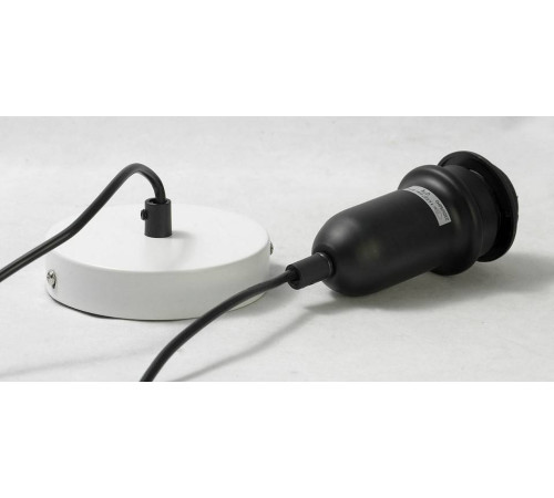 Подвесной светильник Lussole Binghamton GRLSP-9848