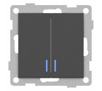 Выключатель двухклавишный с подсветкой без рамки Gusi Electric UGRA С11В28-010