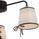 Потолочная люстра ILLUMICO Clara IL6103-3COU-79 CF CR Clara