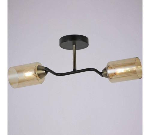Светильник на штанге ILLUMICO Bice IL8148-2COU-79 BK BR Bice