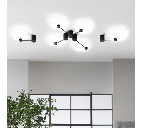 Накладной светильник Imperiumloft 101536-26