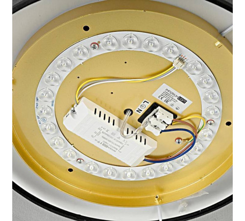 Накладной светильник Imperiumloft Vedum01 179851-26