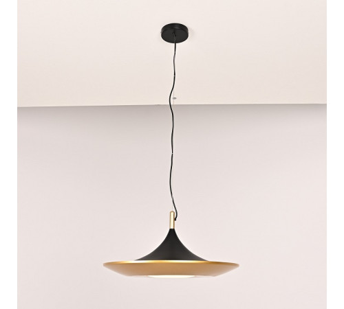 Подвесной светильник Imperiumloft Rask01