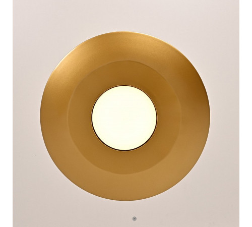 Подвесной светильник Imperiumloft Rask01