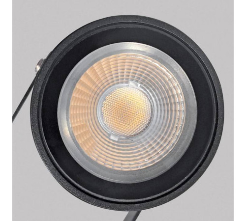 Светильник на штанге Imex Gras IL.0014.0030-BK