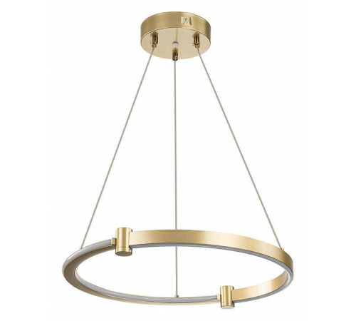 Подвесной светильник Indigo Circolato 14015/1P Gold