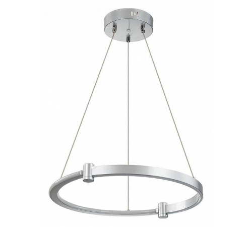 Подвесной светильник Indigo Circolato 14015/1P Silver