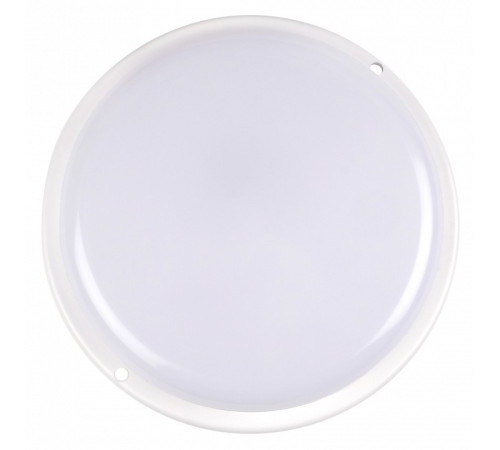 Накладной светильник Jazzway ДПО-1034 12w 4000K IP54